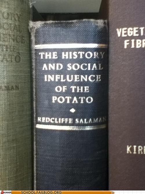 Bargain Books: Sounds Like a Real Page Turner
