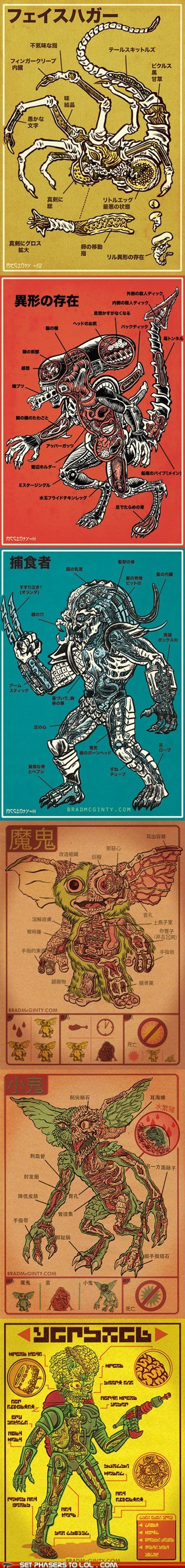 Set Phasers to LOL: Monster Anatomy
