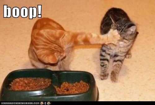 boop!
