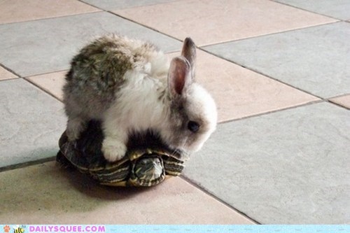 Bunday: Hitchin' a Ride 