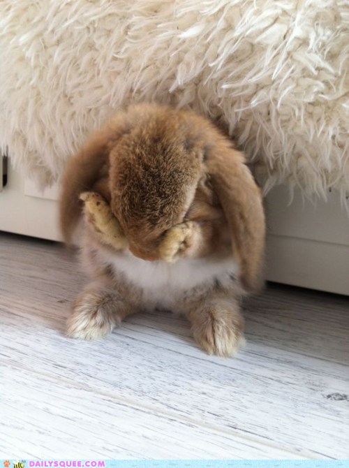 Bunday: Hide and Seek 