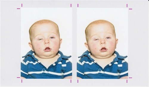 Passport Photo of the Day