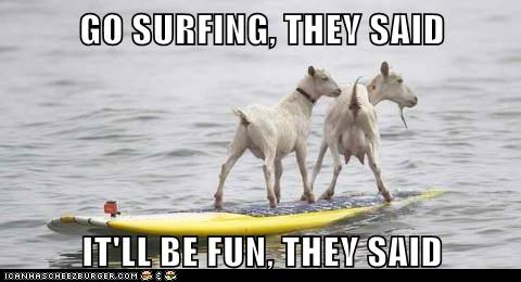 GO SURFING, THEY SAID  IT'LL BE FUN, THEY SAID