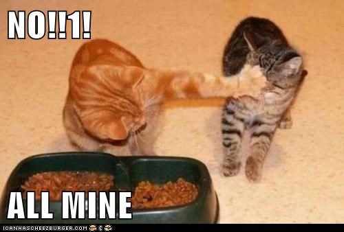 NO!!1!  ALL MINE
