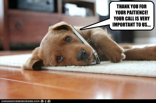 THANK YOU FOR YOUR PAITIENCE! YOUR CALL IS VERY IMPORTANT TO US....