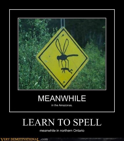 LEARN TO SPELL