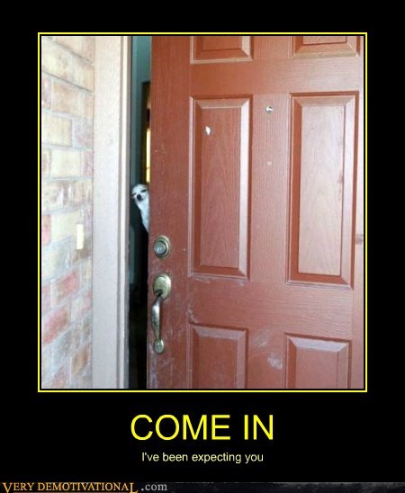 COME IN