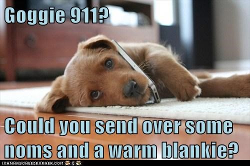 Goggie 911? 