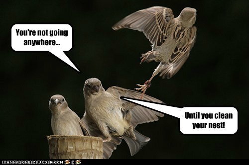 Get Back Here!