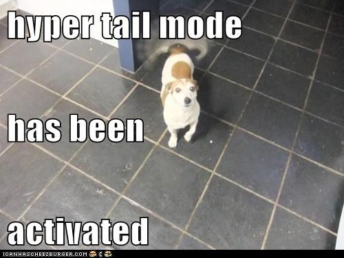 hyper tail mode has been activated