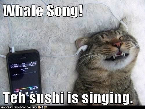 Whale Song!  