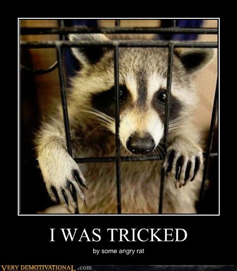 I WAS TRICKED