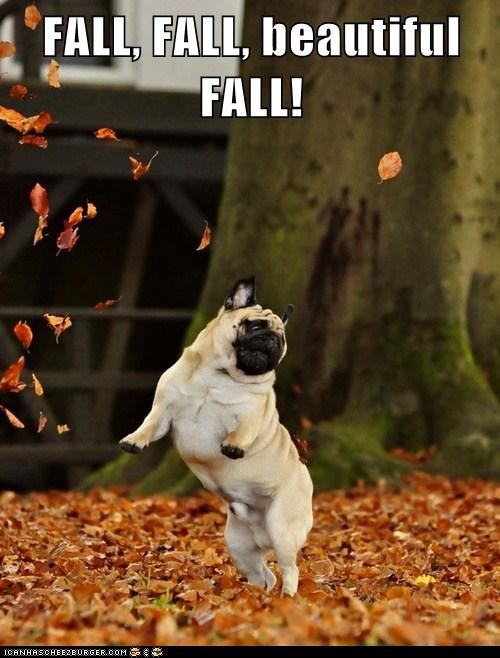 FALL!