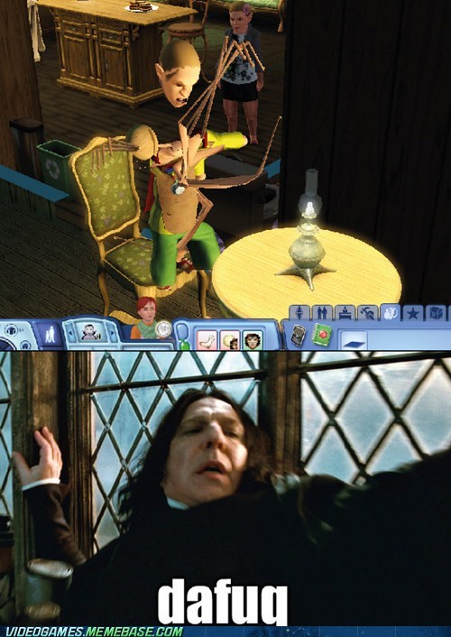 Dafuq Sims???