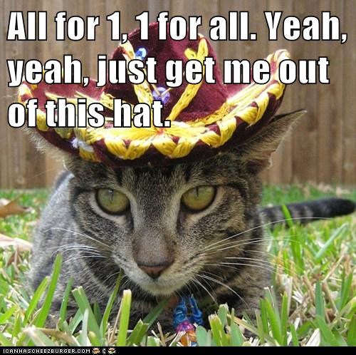 All for 1, 1 for all. Yeah, yeah, just get me out of this hat.