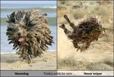 Hoverdog Totally Looks Like Hover Sniper