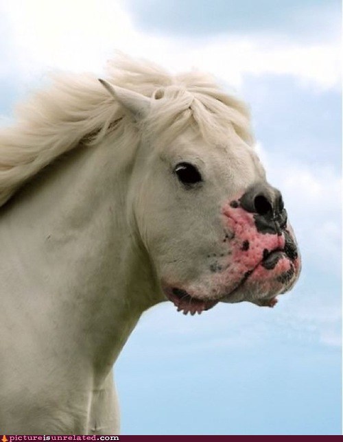 They Said I Could Be Anything...