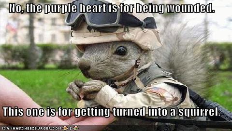 No, the purple heart is for being wounded.  This one is for getting turned into a squirrel.