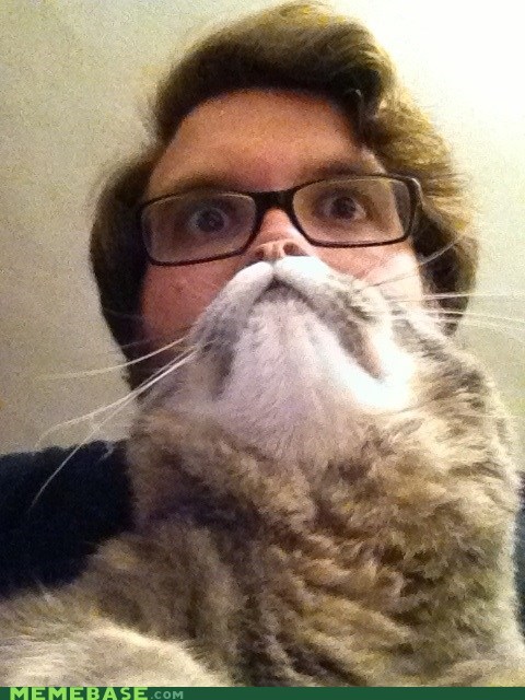 Cat Beard