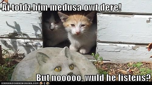 Ai toldz him medusa owt dere!  But nooooo, wuld he listens?