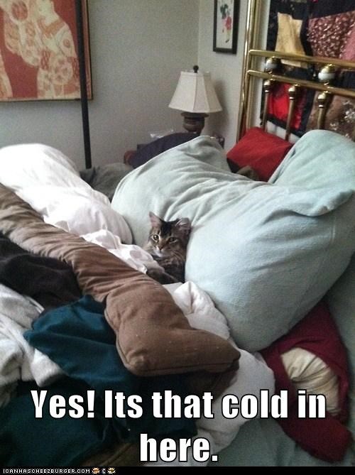 Yes! Its that cold in here.