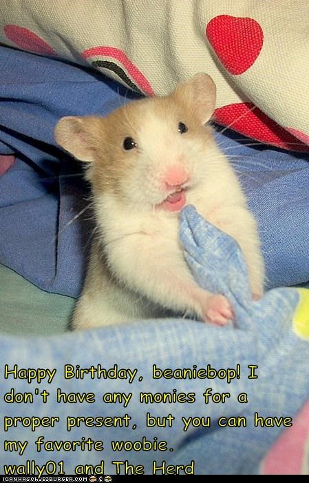 Happy Birthday, beaniebop! I don't have any monies for a proper present, but you can have my favorite woobie.                    wally01 and The Herd
