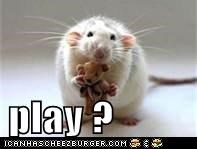 play ?