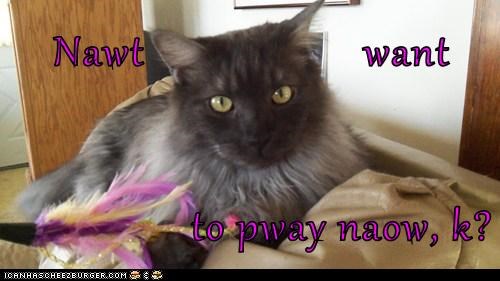 Nawt                    want  to pway naow, k?