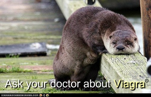 Otter You Drooping For?