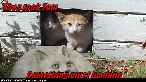 They took Tom...   Something must be done