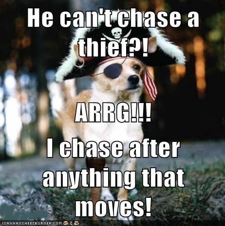 He can't chase a thief?! ARRG!!! I chase after anything that moves!