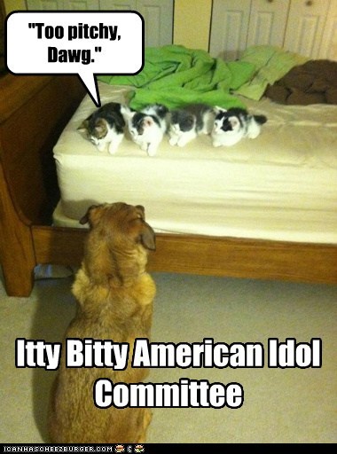 Lolcats: "Too pitchy, Dawg."