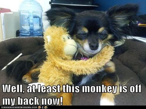 Well, at least this monkey is off my back now!