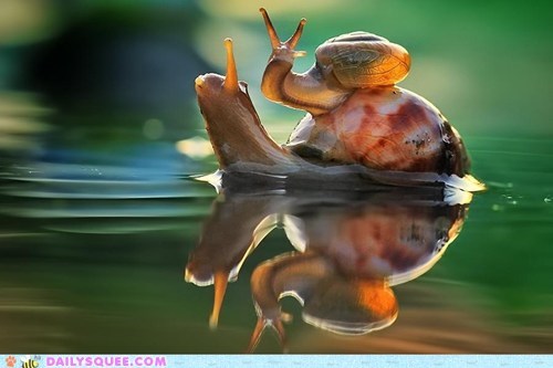 Got Your Back 