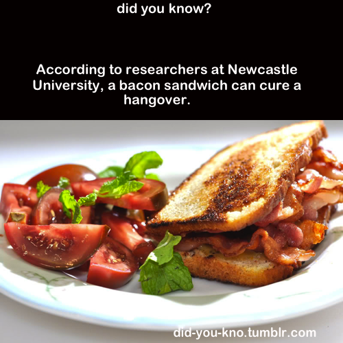 Worst Case Scenario, You Eat a Bacon Sandwich