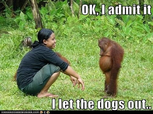 Finally the Mystery is Solved