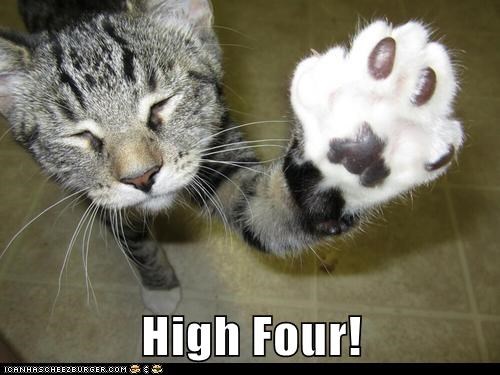 High Four!