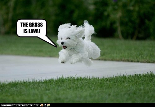 STAY OFF TEH GRASS!