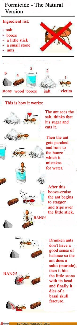 Pest Control 220: How To Destroy Ants