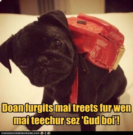 Ai givs maiself a treet!