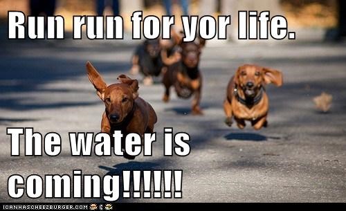 Run run for yor life.  The water is coming!!!!!!