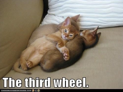 The third wheel.