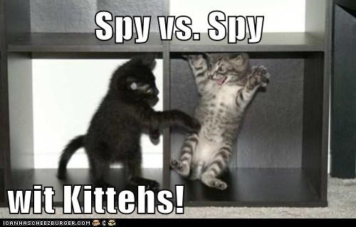 Spy vs. Spy  wit Kittehs!