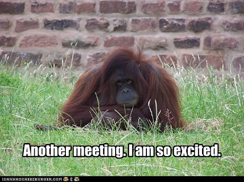 Another meeting. I am so excited.