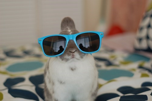 Bunday: Rockin The Shades 