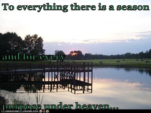 To everything there is a season and for every  purpose under heaven...