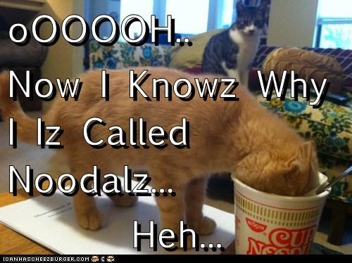 oOOOOH.. Now I Knowz Why I Iz Called Noodalz... Heh...
