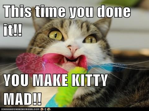 This time you done it!!  YOU MAKE KITTY MAD!!