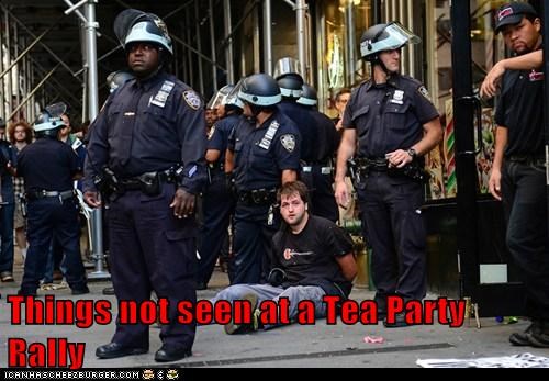 Things not seen at a Tea Party Rally