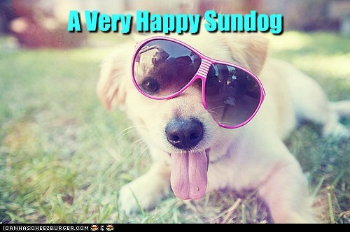 Happy Sundog! 